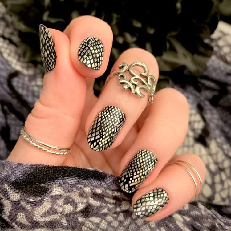 Snake Nail Art Official Supplier