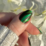 Evergreen Blast Nail Wraps