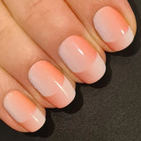 Coral Illusion Nail Wraps